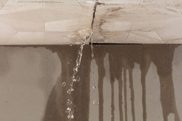 Professional Burst Pipe Cleanup technician working in Junction City, WI